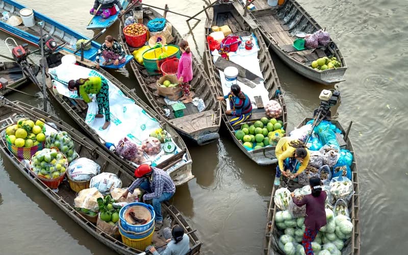 thai fresh market vegetables
