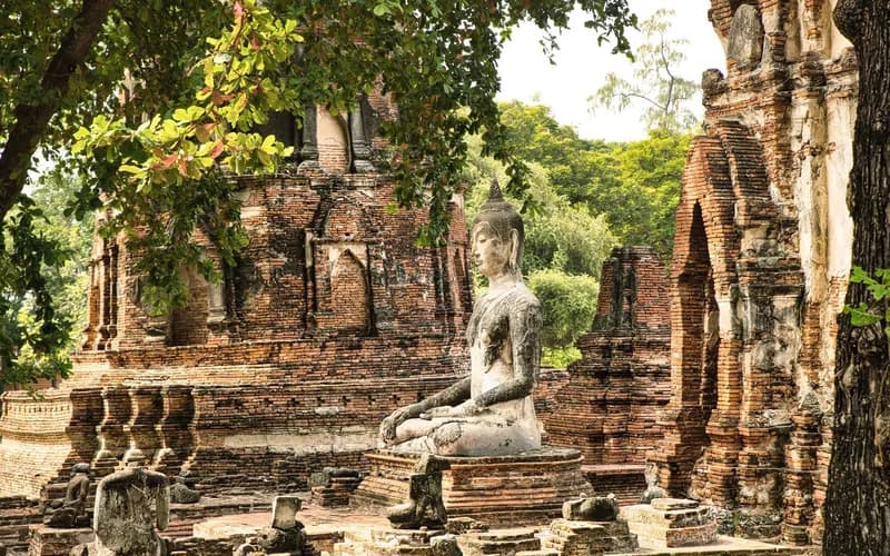 chiang mai meditation retreat