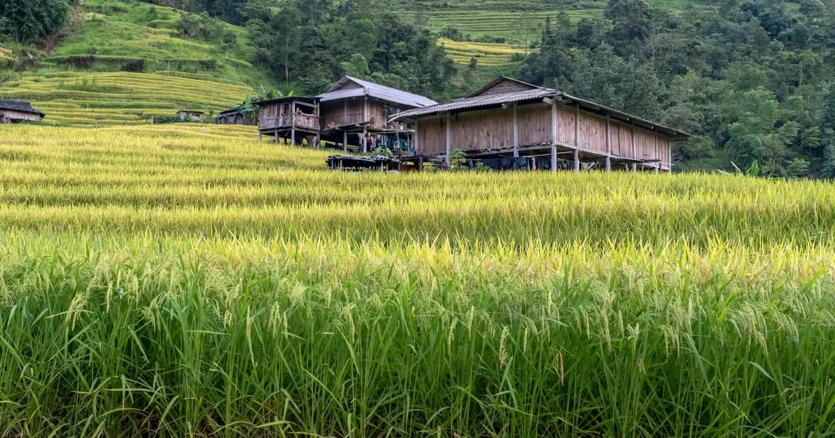 Cultural Etiquette in Vietnam: Temples, Homestays, and Village Visits
