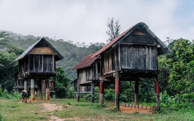 The base of a traditional wooden stilt house staircase in a northern Vietnamese village, several pairs of sandals and rubber