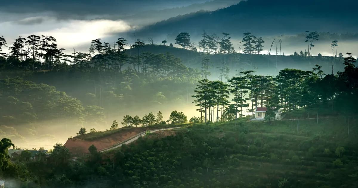 Da Lat : la ville de l'éternel printemps, au cœur des hauts plateaux du Vietnam