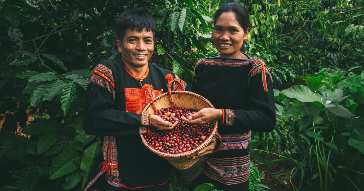 Dak Lak et Buon Ma Thuot : les hauts plateaux du café, lentement