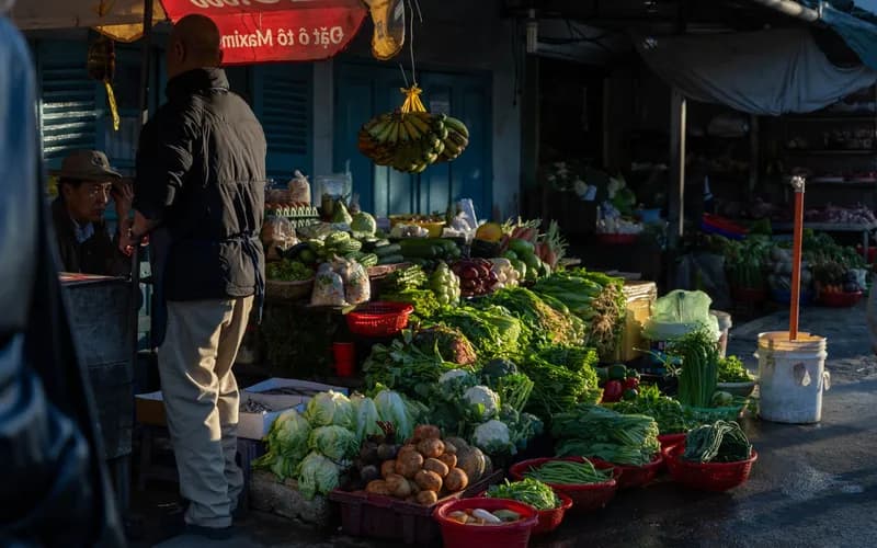 fresh vietnamese herbs market