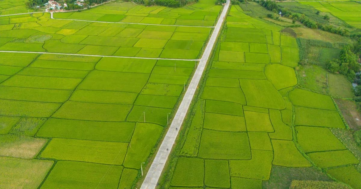Comment planifier un itinéraire lent au Vietnam : deux à quatre semaines réussies
