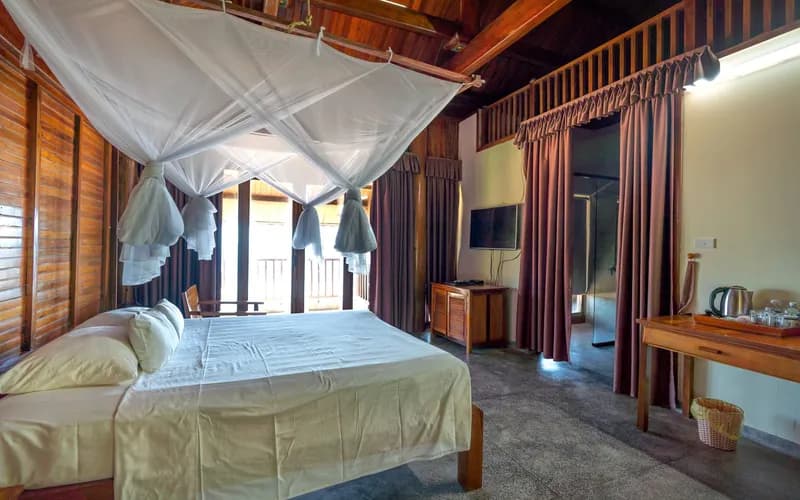 mosquito net bed