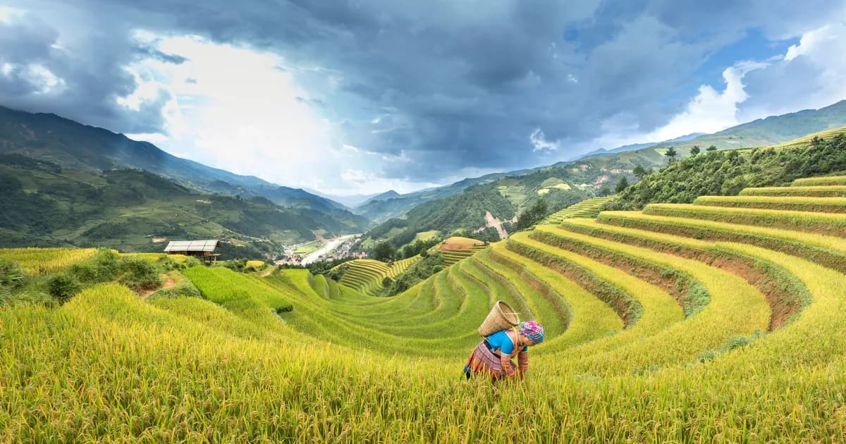 Mu Cang Chai : le pays des rizières en terrasses du Vietnam, au rythme des récoltes