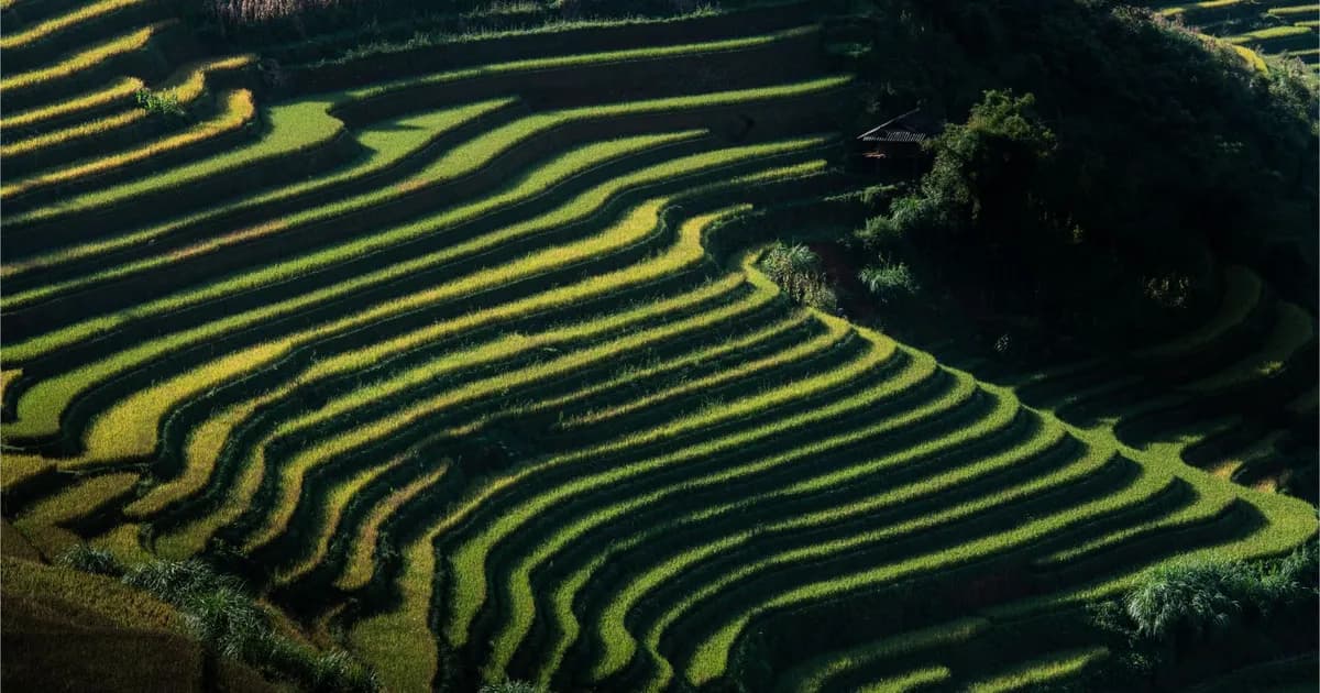 Sa Pa's Quieter Valley: Muong Hung and the Slow Side of the North