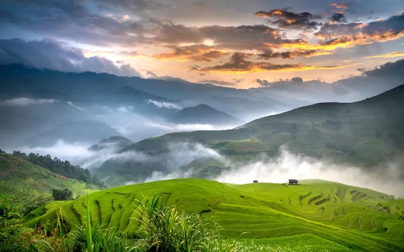 A lone figure viewed from behind walking a narrow dirt trail between terraced rice paddies in early morning light, mist risin