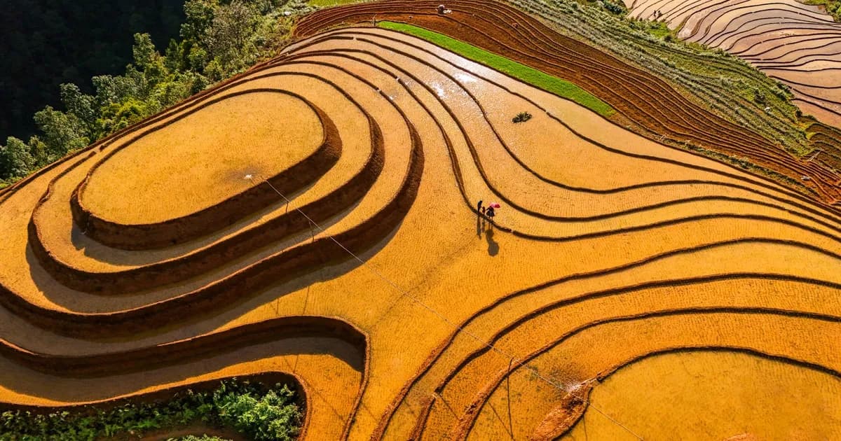 Pu Luong Nature Reserve: Slow Travel in Vietnam's Forgotten Highlands