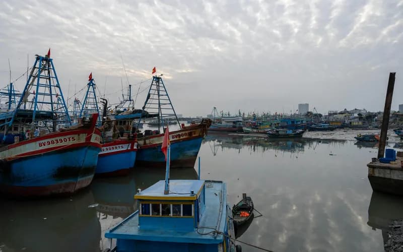 Wide-angle view of a Vietnamese coastal fishing harbour at early morning, colourful wooden boats moored in calm water, low hi