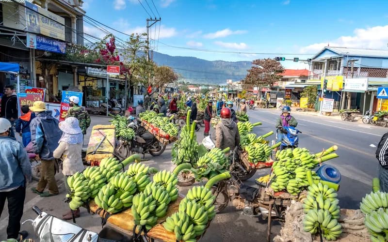 vendeuse de marché rural vietnam