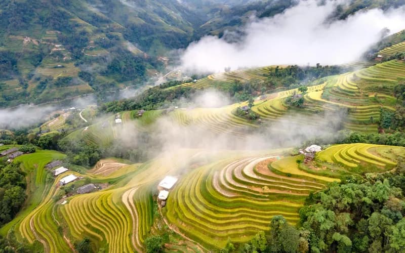 Vue aérienne de rizières en terrasses dans le nord du Vietnam à l'heure dorée, brume s'élevant des vallées entre des crêtes verdoyantes