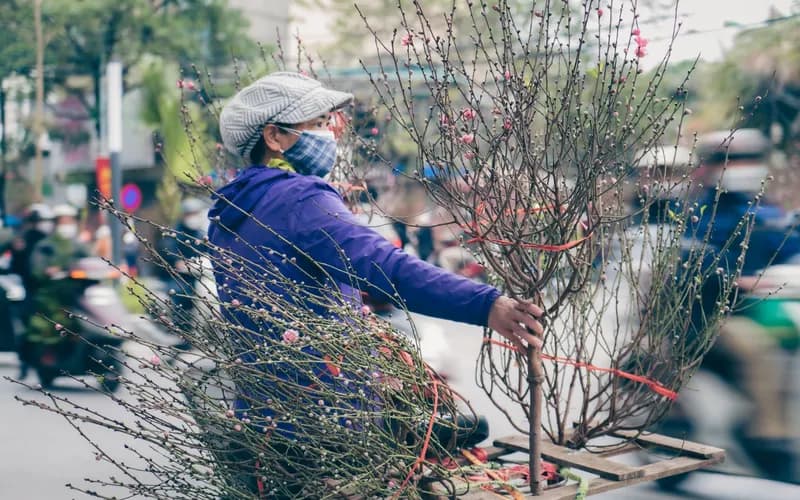 Un marché aux fleurs vietnamien au crépuscule avant le Nouvel An lunaire, rangées de fleurs de mai jaunes et de pêchers en fleurs, vendeurs en chapeaux coniques
