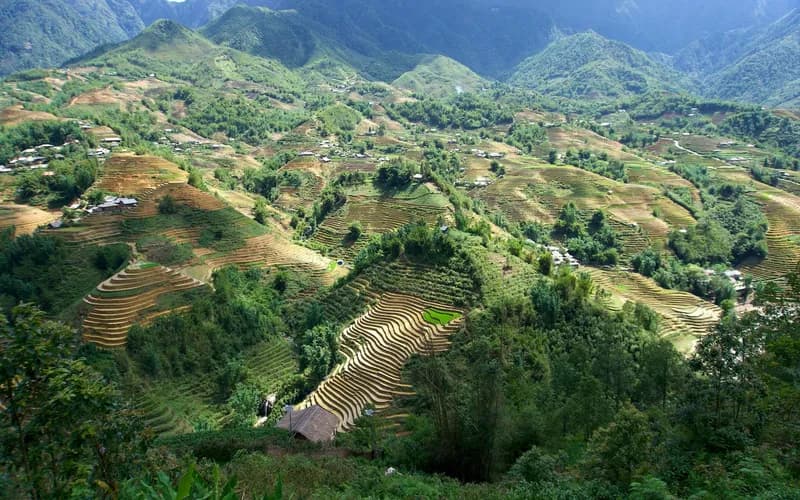 Un petit groupe de voyageurs sur un sentier de montagne étroit à Sapa en début de matinée, rizières en terrasses descendant dans une vallée