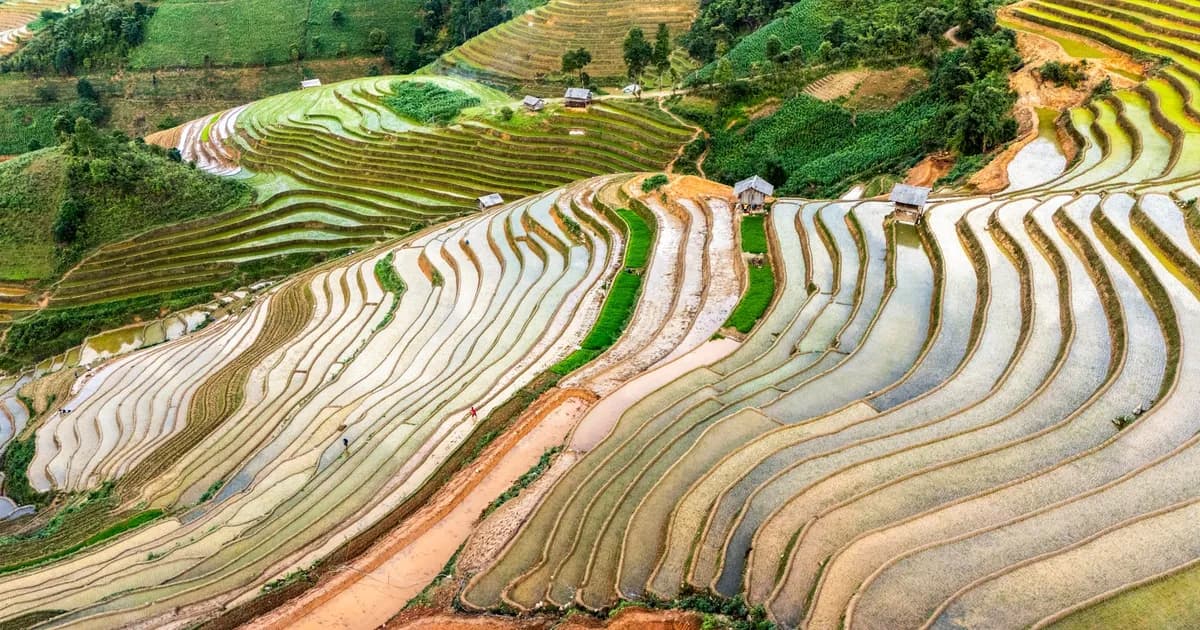 Vietnam's Overtourism Reckoning: How Travelers Are Rewriting the Map