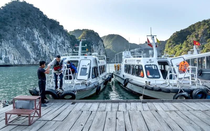 tourist boats moored harbor