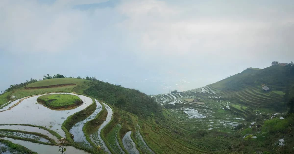 Vietnam's Wellness Belt: How Mountains and Coasts Are Redefining the Retreat
