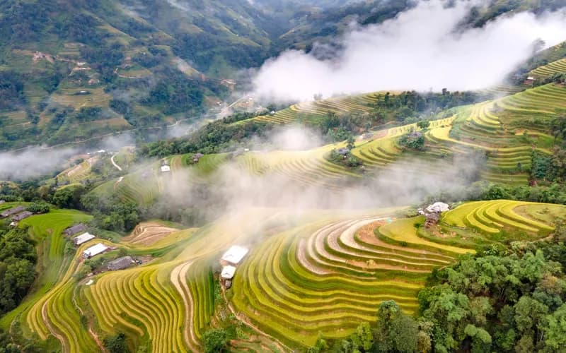 A misty highland valley in northern Vietnam at dawn, terraced rice fields descending into forest, soft diffused light, wide a